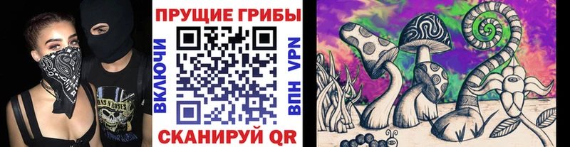 Псилоцибиновые грибы прущие грибы  Купить где  Боровск 